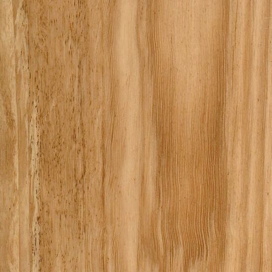 Blackbutt